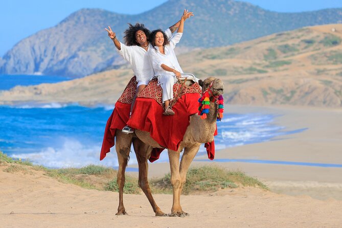 Beach CAN-AM SXS X3 and Camel Ride in Cabo - Buffet, refreshments, and tequila tasting