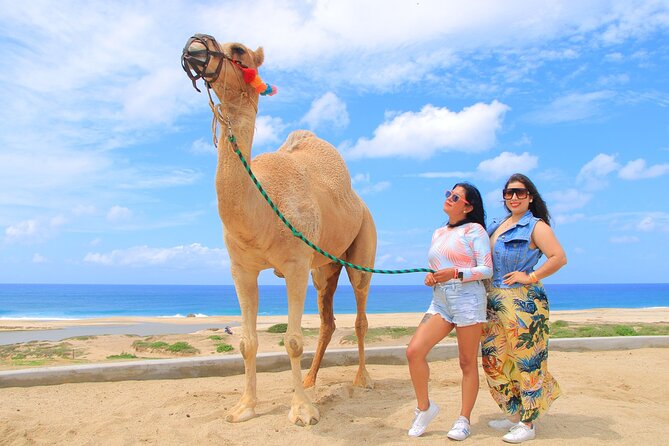 Beach CAN-AM SXS X3 and Camel Ride in Cabo - Who will enjoy this most
