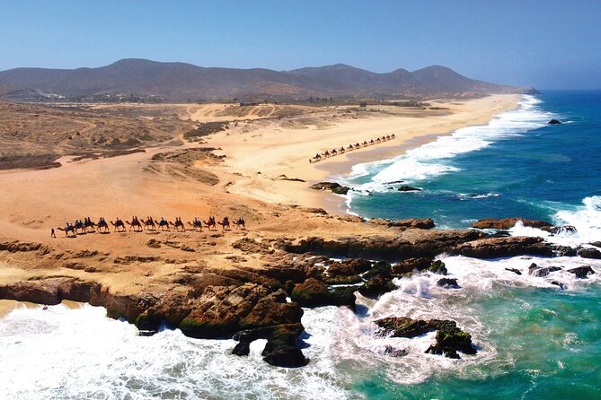 Beach CAN-AM SXS X3 and Camel Ride in Cabo - Timing, pickup, and group size