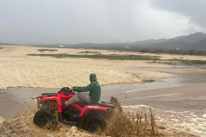 Beach & Dunes Atv Adventure !! - Who will enjoy this Cabo ATV outing?
