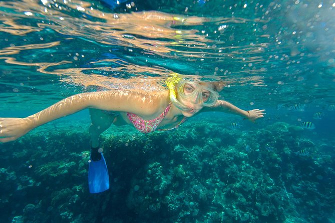 Beach Hopper Small-Group Snorkeling Tour in Los Cabos - Leaving the marina for Land’s End