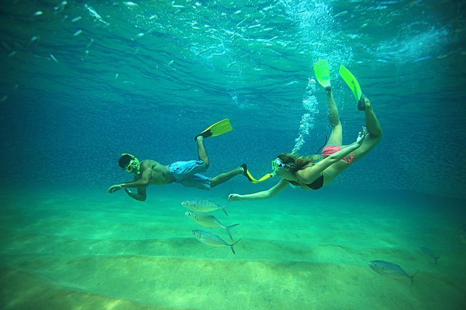 Beach Hopper Small-Group Snorkeling Tour in Los Cabos - Chileno Bay: calm water and a friendly first stop