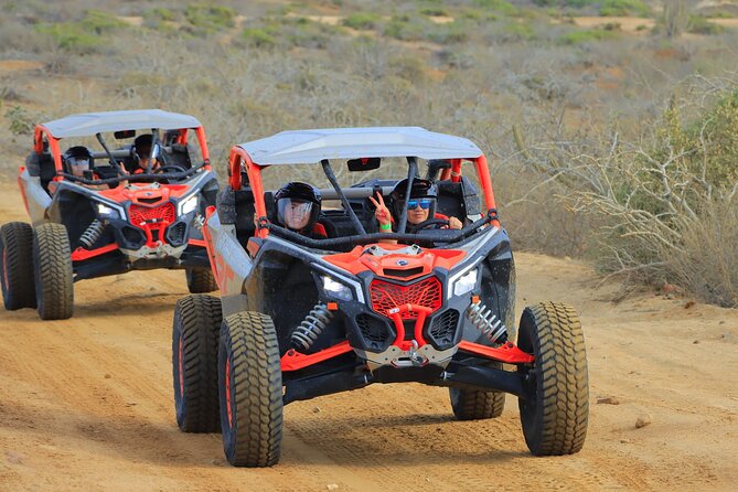 Beach UTV and Camel Ride Combo in Cabo - Who will enjoy this Cabo outing?