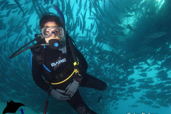 Beginner Scuba Diving in Cabo San Lucas - Staying comfortable under water