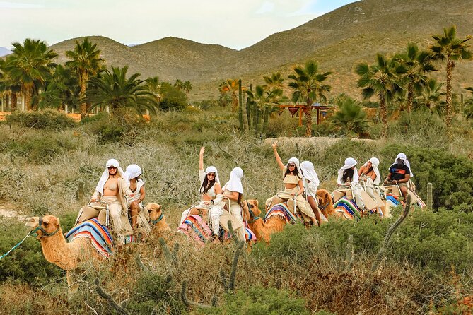 Boat Ride to the Arch and Beach Camel Ride in Cabo San Lucas - From your hotel to Cabo’s famous Arch
