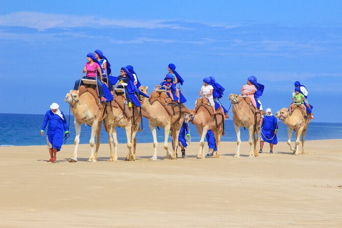 Boat Ride to the Arch and Beach Camel Ride in Cabo San Lucas - The camel ride on the Pacific beach