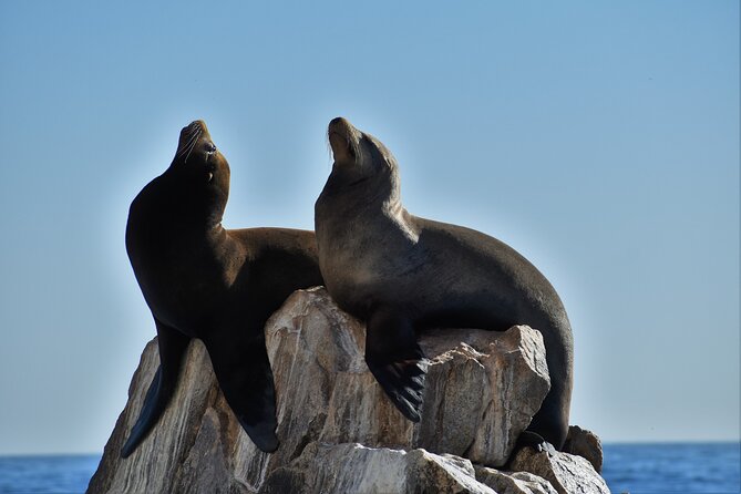 Boat ride to the Arch and Snorkel - Why Pelican Rock makes the swim worthwhile