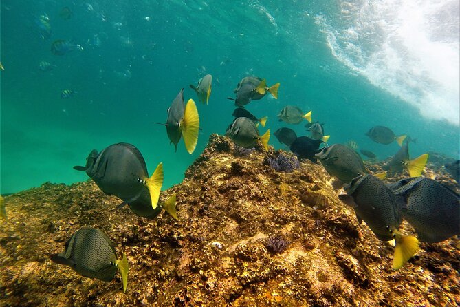 Boat ride to the Arch and Snorkel - Getting to the dock and timing your day