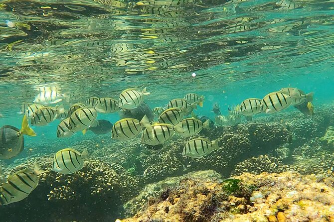 Boat ride to the Arch and Snorkel - Who will enjoy this trip most?