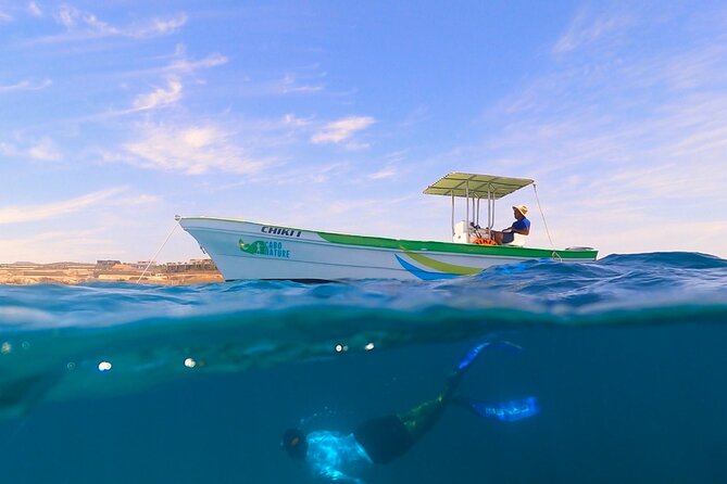Boat ride to the Arch and Snorkel - Should you book Boat Ride to the Arch and Snorkel?