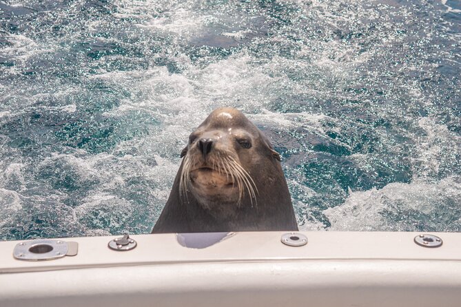 Boat Tour Snorkeling Tour with Guide, Drinks and Fruit - El Arco: the classic Cabo photograph