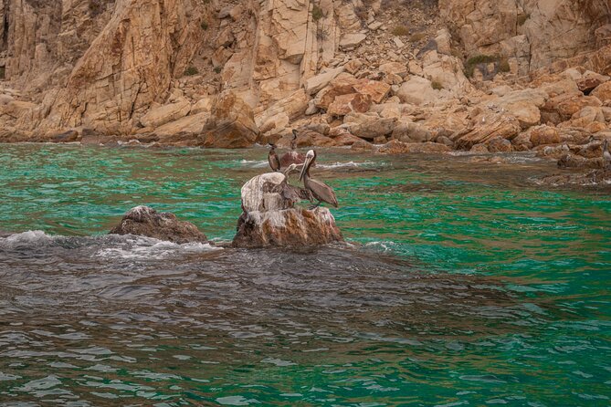Boat Tour Snorkeling Tour with Guide, Drinks and Fruit - The second 45 minutes: snorkeling at a selected reef