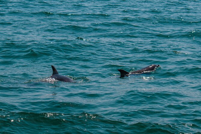 Boat Tour Snorkeling Tour with Guide, Drinks and Fruit - The first 45 minutes: Cabo’s rocks and marine life