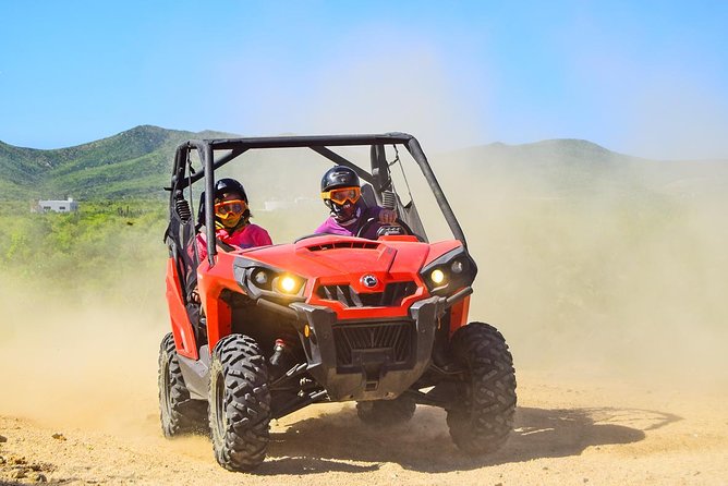 Cabo Adventure: Can-Am X3 Ride & Camel Beach Tour - One Hour Behind the Wheel of a Can-Am Maverick X3