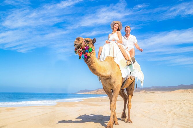 Cabo Adventure: Can-Am X3 Ride & Camel Beach Tour - The Camel Encounter Beside the Pacific