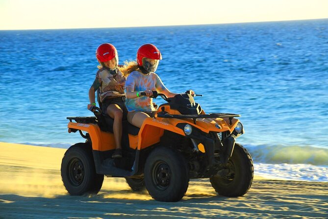 Cabo ATV and Camel Ride Combo Migriño Adventure - Meeting the camels at the sanctuary