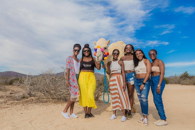 Cabo Beach Camel Ride, Mexican Buffet and Tequila Tasting - Who will enjoy this Cabo excursion most