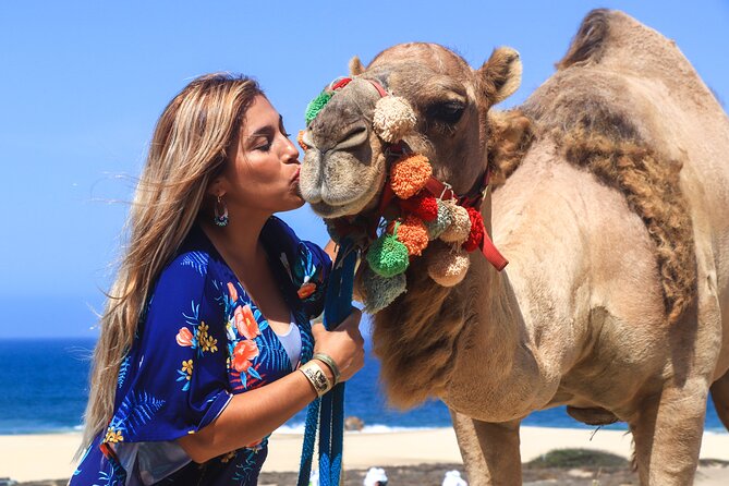 Cabo Camel Ride Experience - Meeting the camels at El Migriño Beach
