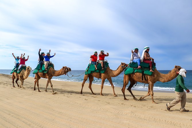 Cabo Camel Ride Experience - Hotel pickup and the time commitment