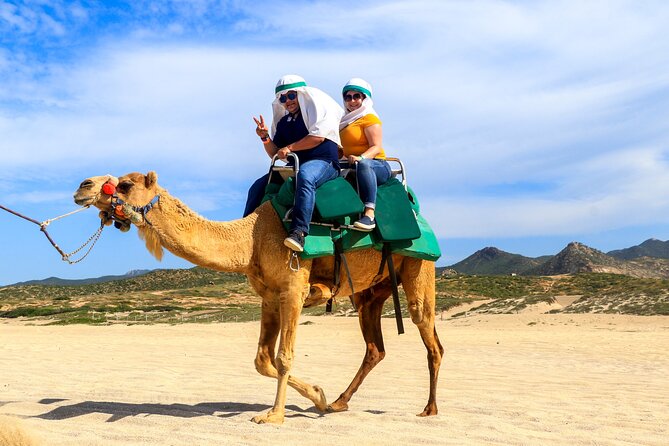 Cabo Camel Ride Experience - Is $120, plus the park fee, a fair price?