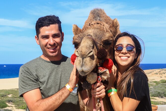 Cabo Camel Ride Experience - What the beach ride is really like