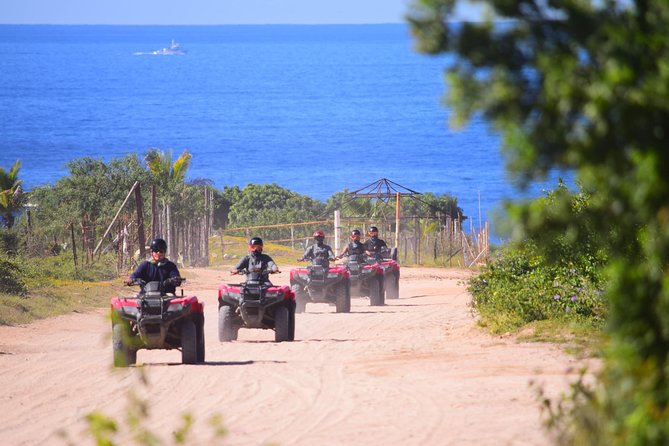 Cabo Candelaria Village Adventure + Tequila Tasting - Key points to know before booking