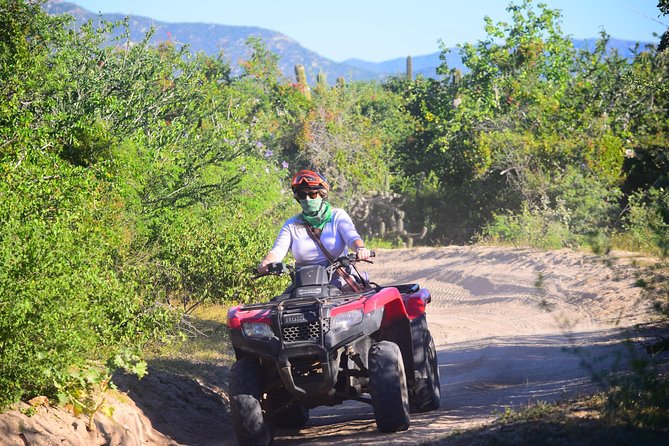 Cabo Candelaria Village Adventure + Tequila Tasting - Why the guide makes a difference