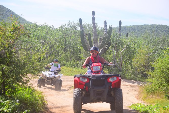 Cabo Candelaria Village Adventure + Tequila Tasting - What the $170 price really covers