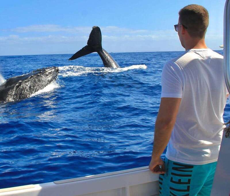 Cabo Catamaran Snorkel: Arch & Santa Maria, Open Bar, Snacks - One Hour at Santa Maria Bay