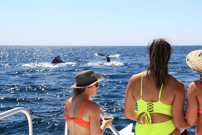 Cabo Catamaran – Snorkeling Tour & Coastal Views - The biggest concern: communication before departure