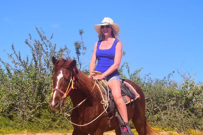 Cabo Desert Off-Road & Beach Horseback Combo and Tequila Tasting - Group ride or private tour?
