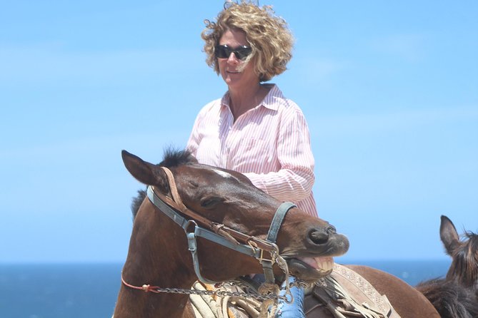 Cabo Desert Off-Road & Beach Horseback Combo and Tequila Tasting - Heat, timing, and what to pack
