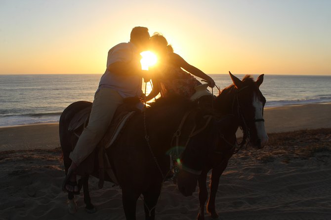 Cabo Desert Off-Road & Beach Horseback Combo and Tequila Tasting - Who should book this Cabo combo?