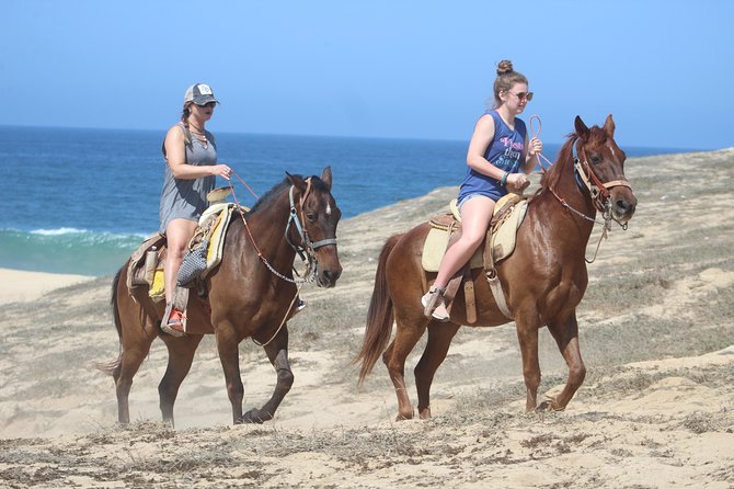Cabo Desert Off-Road & Beach Horseback Combo and Tequila Tasting - Should you book it?