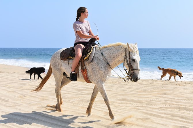 Cabo Desert Off-Road & Beach Horseback Combo and Tequila Tasting - Tequila tasting after the riding