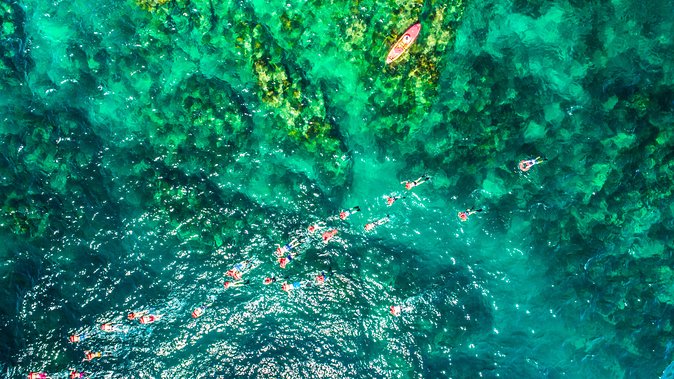Cabo Escape Breakfast Snorkel Cruise - How the Boat Works for Families