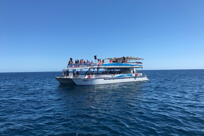 Cabo Escape Snorkel Fun Cruise - Who will enjoy Cabo Escape most?