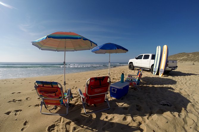 Cabo full day surf lesson and offroad baja beach adventure - Who will get the most from this tour