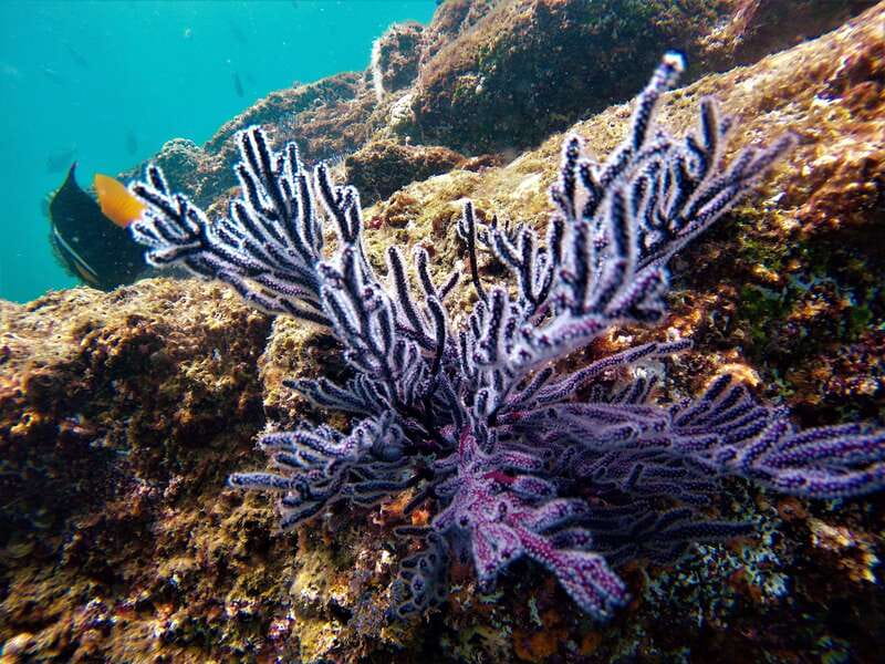Cabo: Hidden Beach Day with Snorkeling in the Sea of Cortez - Should you book the Cabo hidden beach day?