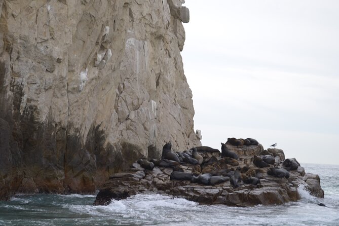 Cabo Highlights - A catamaran cruise with lunch and drinks