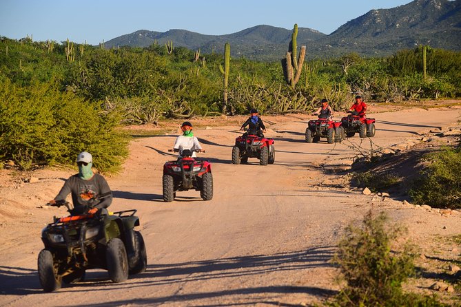 Cabo Migrino Beach and Desert ATV Tour plus Tequila Tasting - Timing, cancellation, and who should book