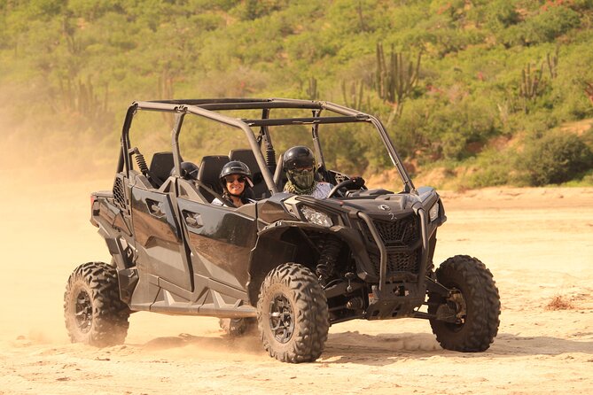 Cabo Migrino Beach & Desert Tour (Quad UTV) - The plants and cactus add more than scenery
