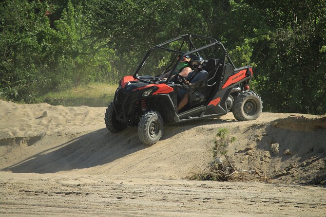 Cabo Migrino Beach & Desert UTV Tour and Tequila Tasting - Desert cactus, riverbed, and ocean views