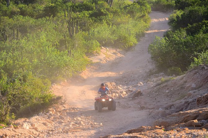 Cabo Original Real Baja 1000 Tour (Single ATV) - Who Will Enjoy This Cabo Adventure