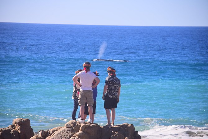 Cabo Original Real Baja 1000 Tour (Single ATV) - Booking Timing and Cancellation Details