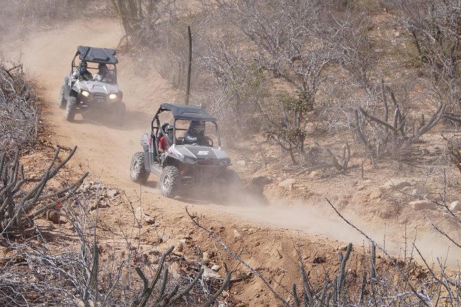 Cabo Original Real Baja 1000 Tour (Triple UTV) - Who should book this Cabo off-road tour