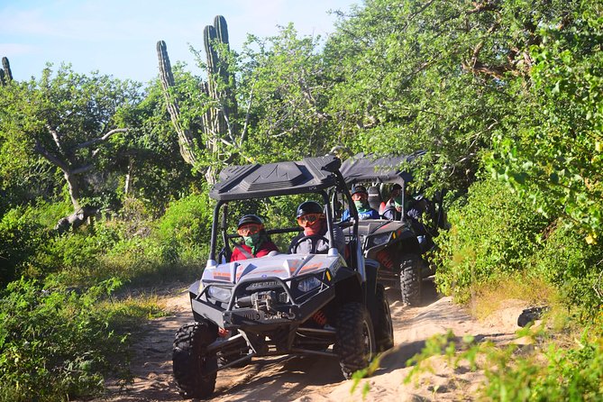 Cabo Original Real Baja 1000 Tour (UTV) - From beaches to river banks and hills