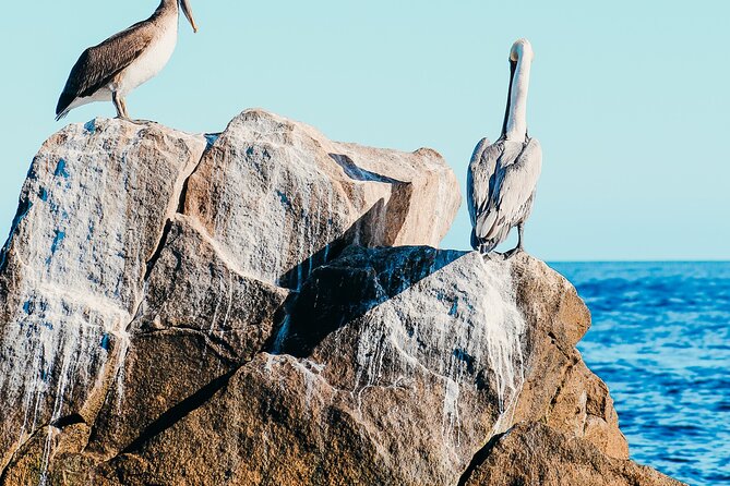 Cabo Private Catamaran: Chill Experience with Sup and Float Mat - Who gets the best value from $970