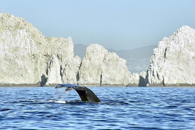 Cabo Private Transportation to Cabo - A direct 30 to 50 minute ride to Cabo San Lucas