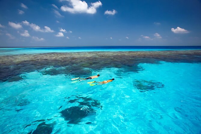 Cabo Private Yacht Cruise to El Arco with Snorkeling Adventure - Timing, weather, and what to bring